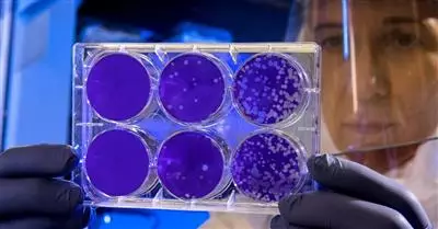 Emergenza Coronavirus: uffici aperti ma sospese alcune attività