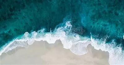 B2Blue: incontri virtuali il 19-20 novembre 2020