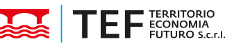 Logo TEF – Partner incontri internazionalizzazione Space Economy