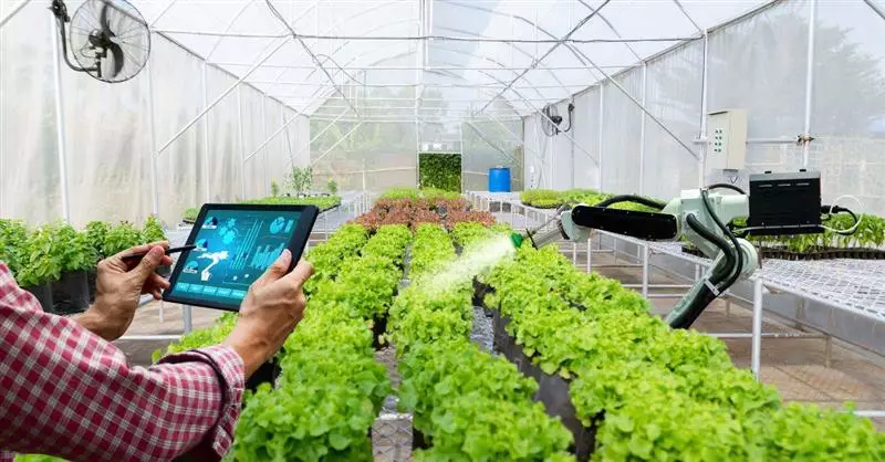 Immagine di una serra per evento a Ravenna su tecnologie per l'agricoltura e il vivaismo